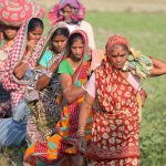 Photo de femmes après la récolte en Inde