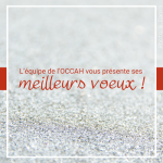 Meilleurs voeux