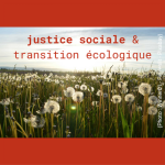 (Photo : Winner01 - Pissenlit - Pixabay) justice sociale et transition écologique