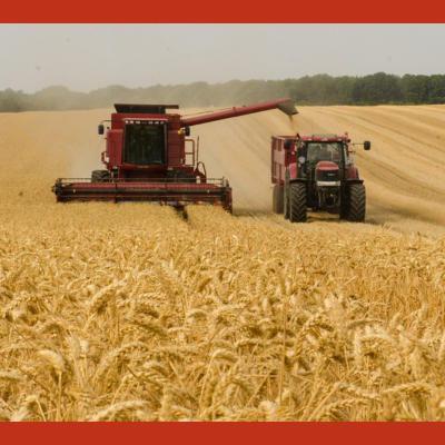 Géopolitique de l agriculture